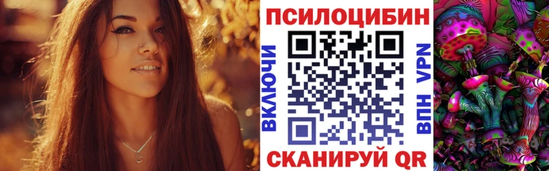 Купить где  Новая Ладога  Псилоцибиновые грибы Psilocybine cubensis 